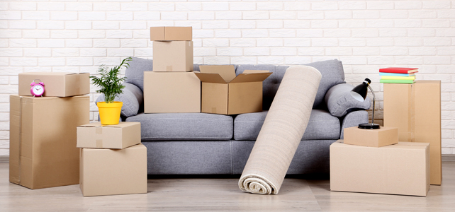 家具の移動、設置、管理